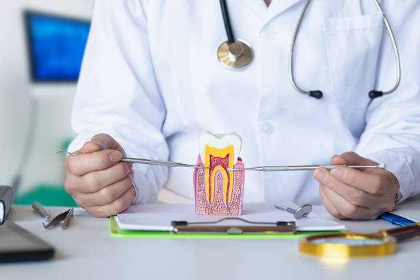 Best Emergency Dentist for Knocked-Out Tooth in Massanetta Springs, VA